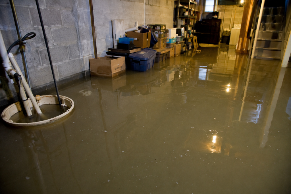 Basement Flooded? Here's What to Do Immediately and How Professional Restoration Saves Your Home